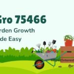 KGro 75466