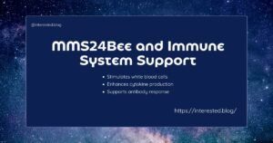 MMS24Bee