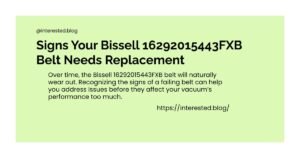 Bissell 16292015443FXB
