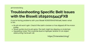 Bissell 16292015443FXB